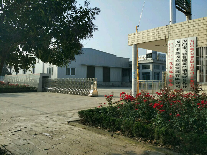 鑫天農業大門外景展示
